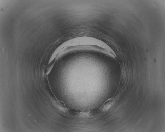 X0000068860574200605261733