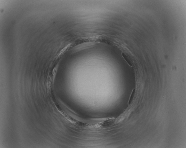 X0000068860576200605261733