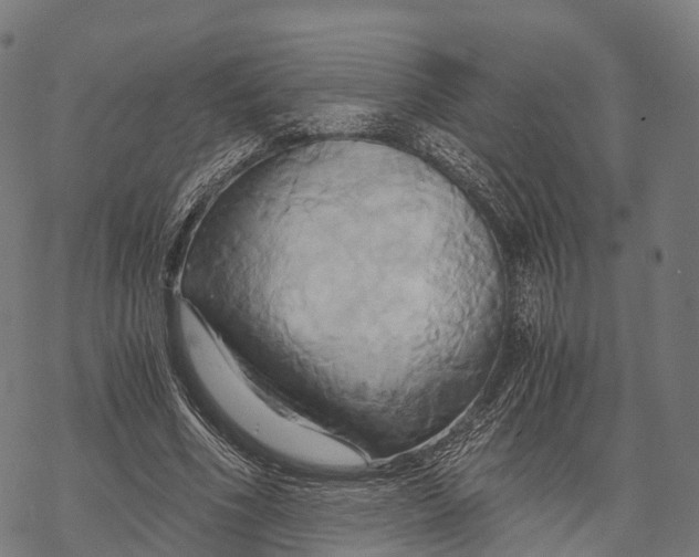 X0000068860586200605261732