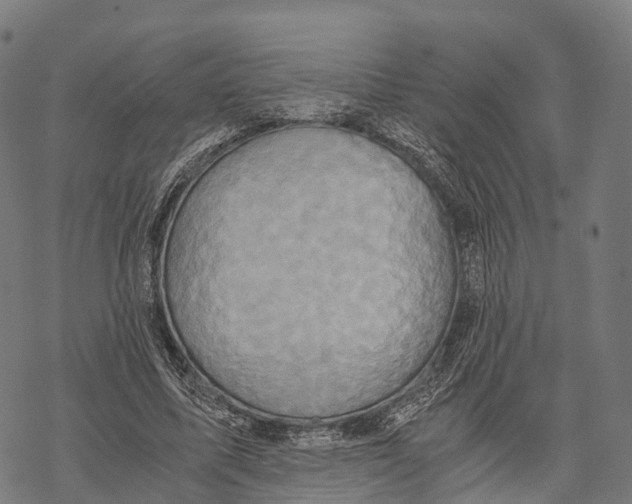 X0000068860587200605261732