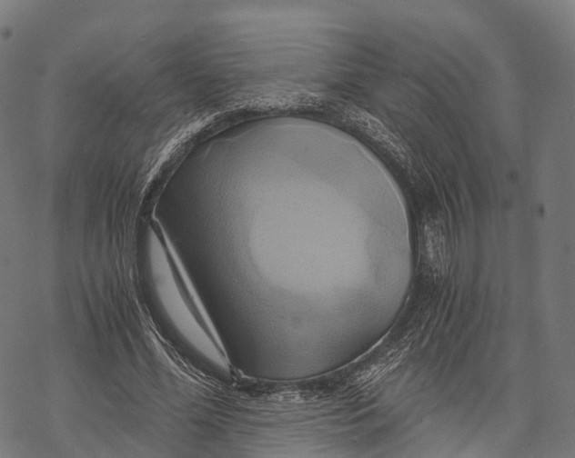 X0000068860588200605261732