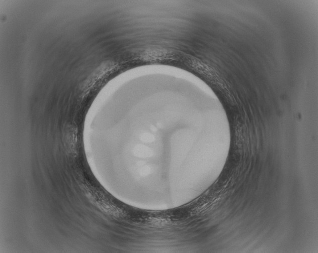 X0000068860592200605261732