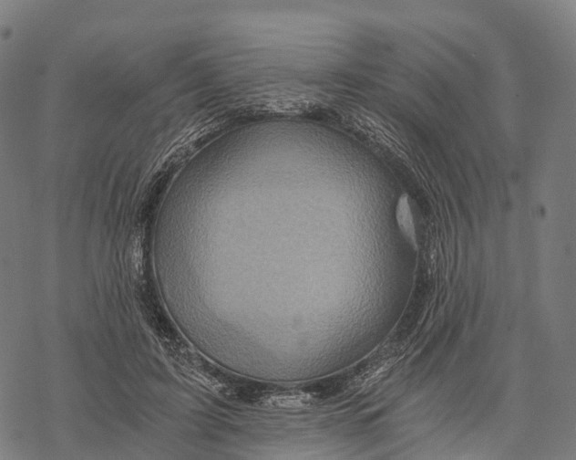X0000068860595200605261732
