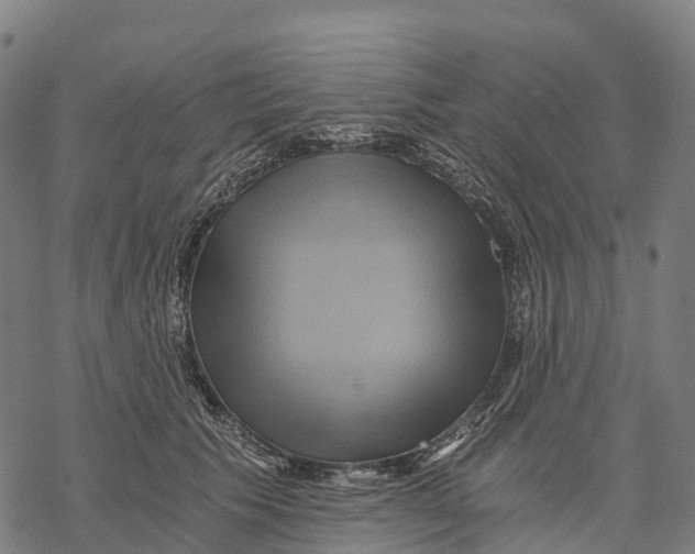 X0000068860609200605261732
