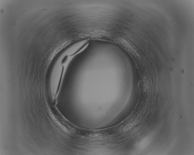X0000068860634200605261731