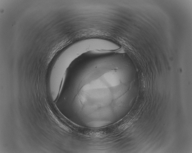 X0000068860638200605261731