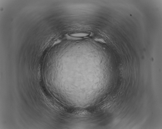 X0000068860642200605261731