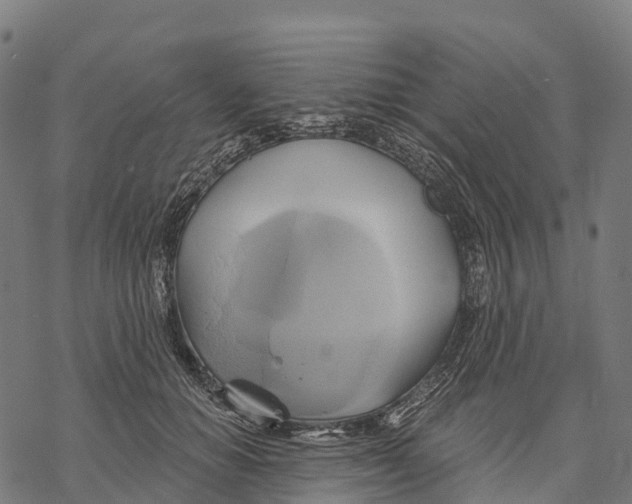 X0000068860654200605261732