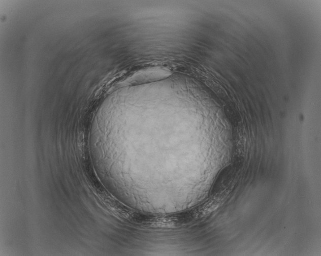 X0000068860656200605261732