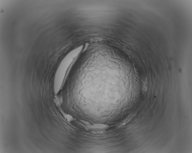 X0000068860666200605261732