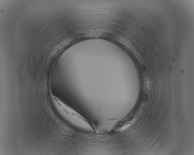X0000068860681200605261731