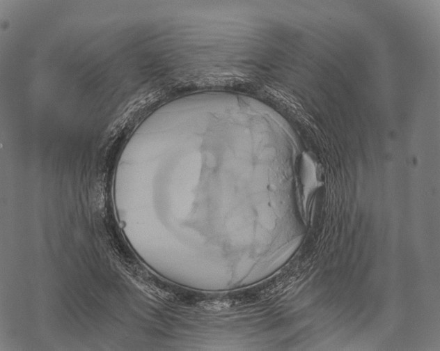 X0000068860687200605261731