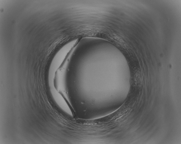 X0000068860693200605261731