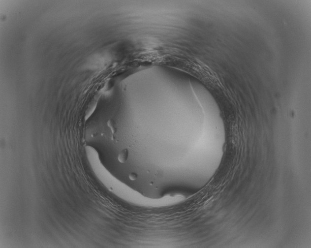 X0000068860697200605261731