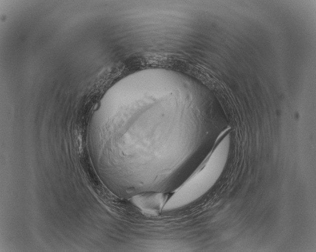 X0000068860703200605261731