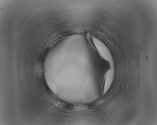 X0000068860707200605261730