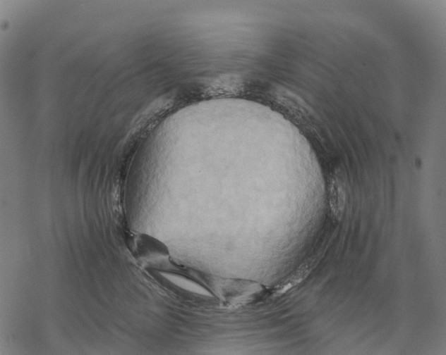 X0000068860714200605261730
