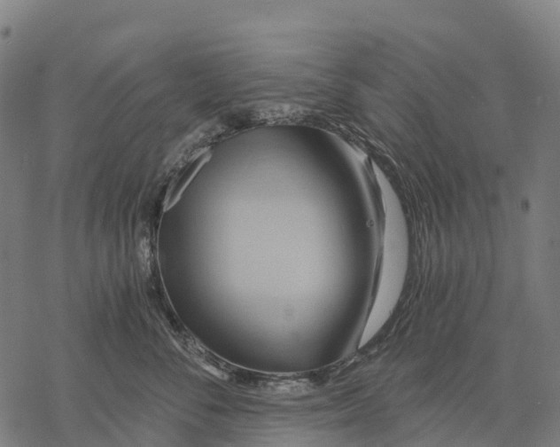 X0000068860716200605261730
