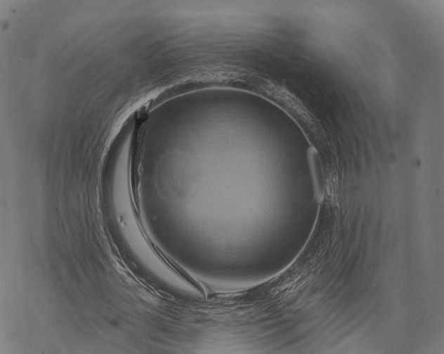 X0000068860724200605261730