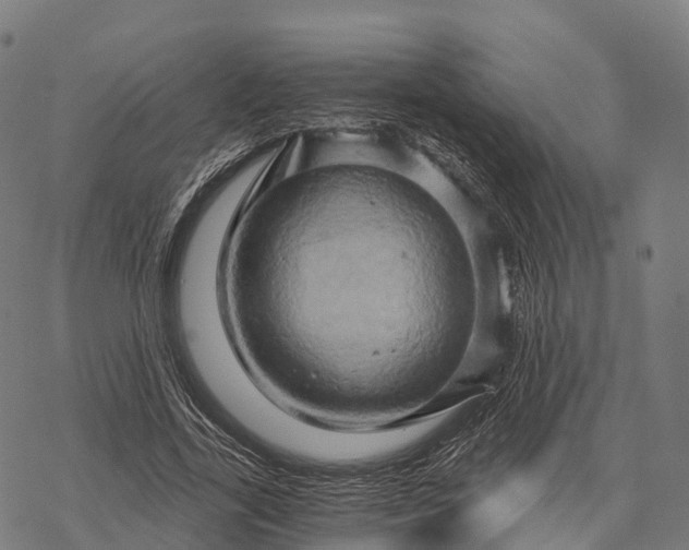 X0000068860731200605261730