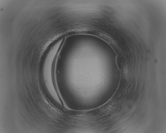 X0000068860732200605261730