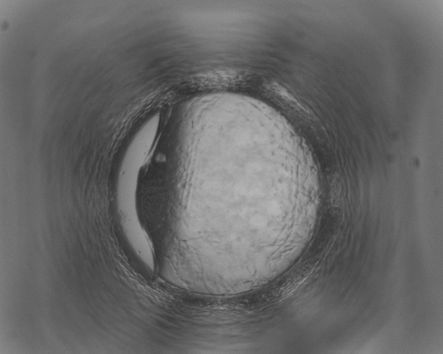 X0000068860737200605261730