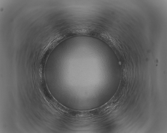 X0000068860739200605261730