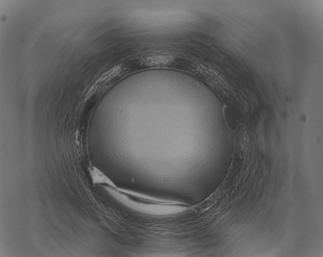 X0000068860743200605261730