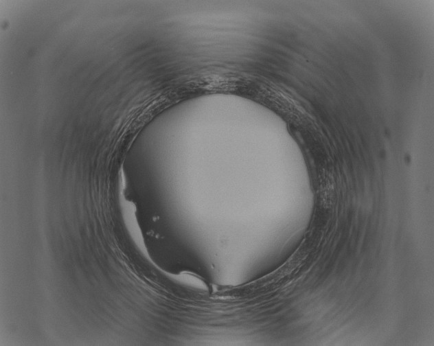 X0000068860748200605261730