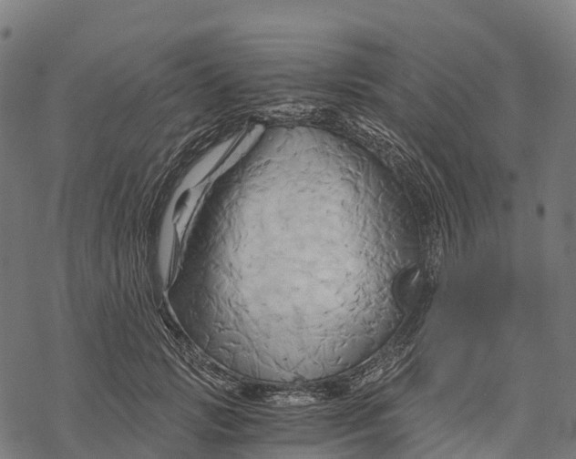 X0000068860749200605261730