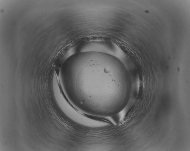 X0000068860750200605261730