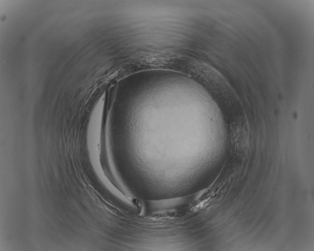 X0000068860752200605261730