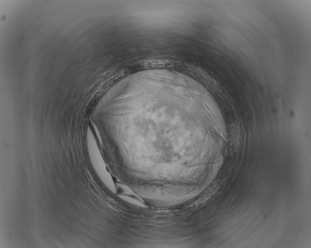 X0000068860761200605261730
