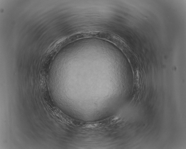X0000068860773200605261729