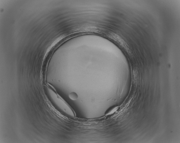 X0000068860780200605261729