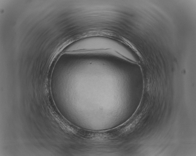 X0000068860786200605261729