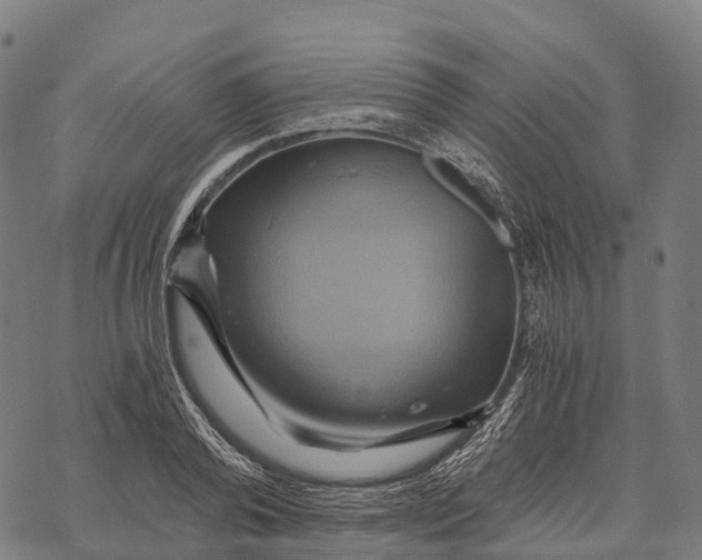 X0000068860792200605261729