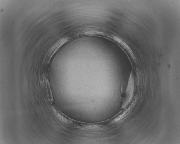 X0000068860801200605261729