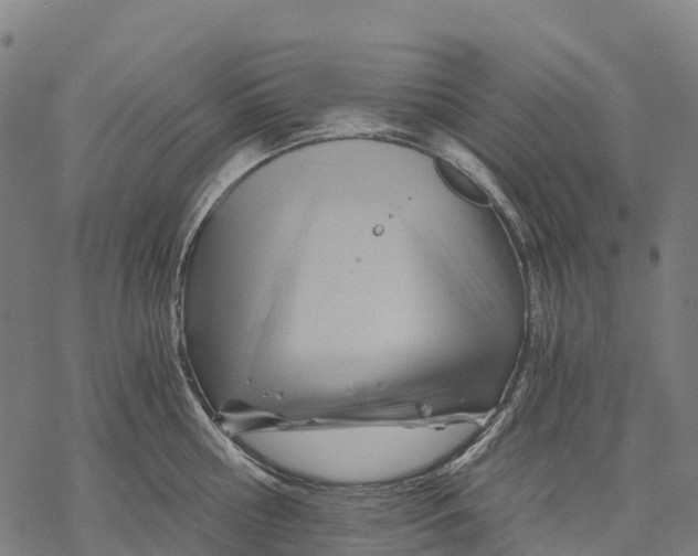 X0000068860810200605261729