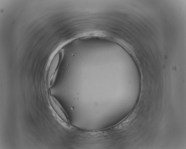 X0000068860816200605261729