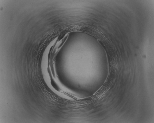 X0000068860818200605261728