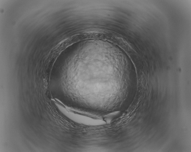 X0000068860821200605261728