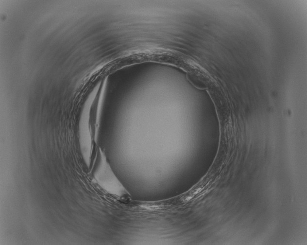 X0000068860822200605261728