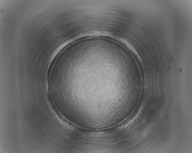 X0000068860837200605261728