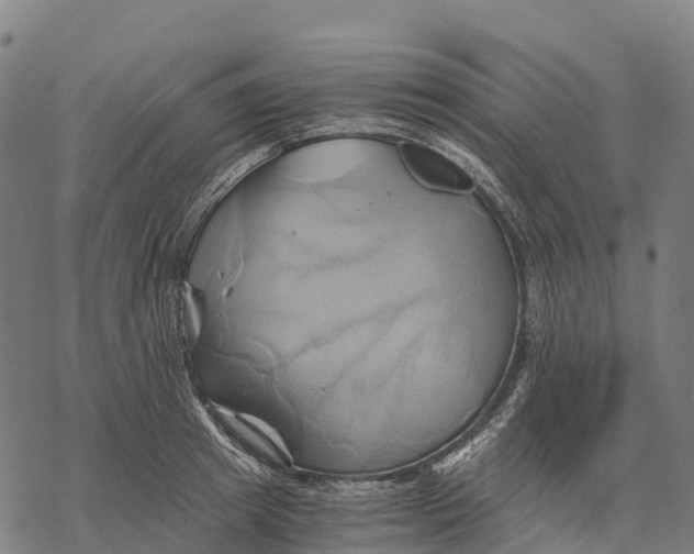 X0000068860849200605261728