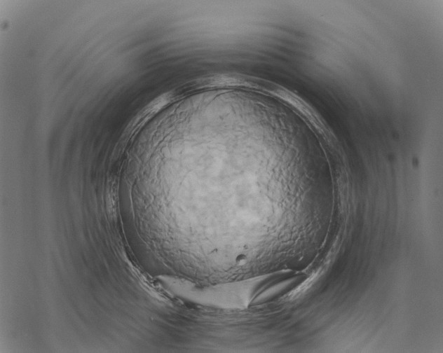 X0000068860857200605261729
