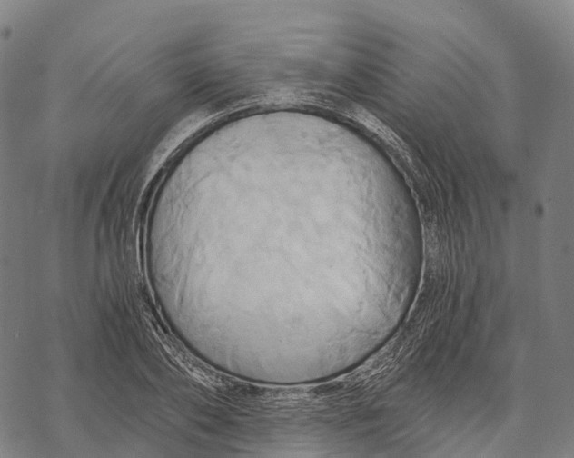 X0000068860886200605261728