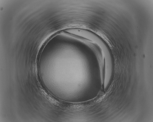 X0000068860888200605261728