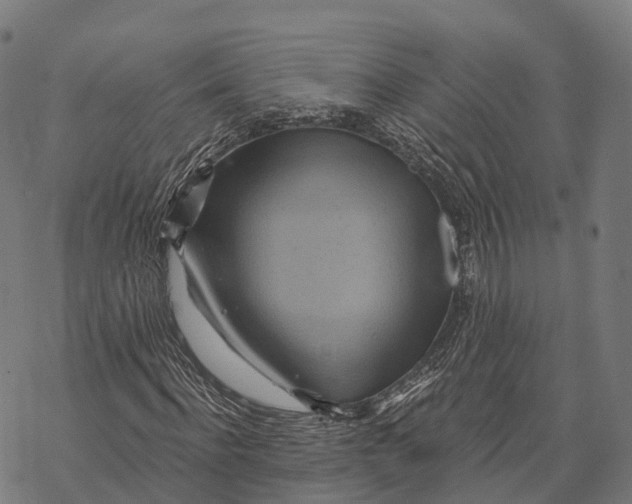 X0000068860916200605261726