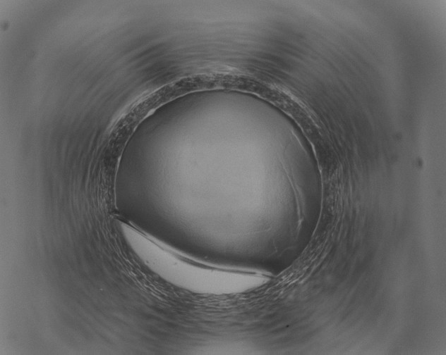 X0000068860919200605261727